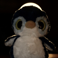 pingvin (Валентин Панков)